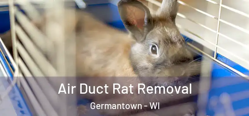  Air Duct Rat Removal Germantown - WI