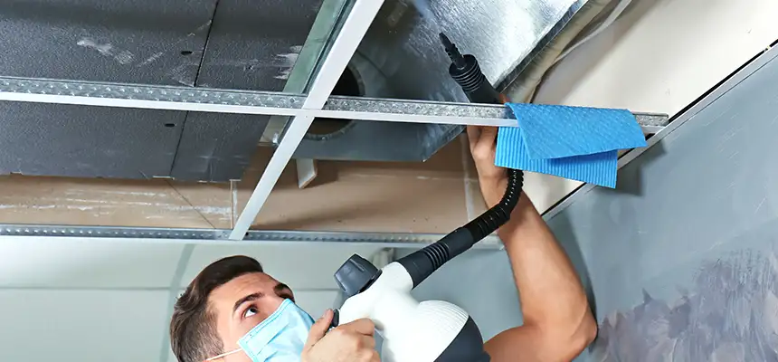 Our Air Duct Rodent Removal Services in Germantown, WI