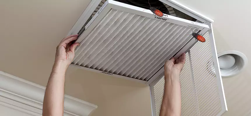 Our Insect Removal from Air Ducts Services in Germantown, WI