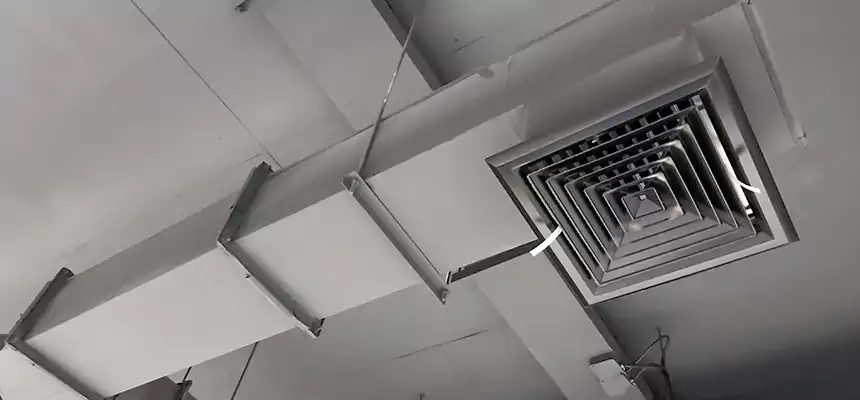 Our Rodent Droppings In Vents Services in Germantown, WI