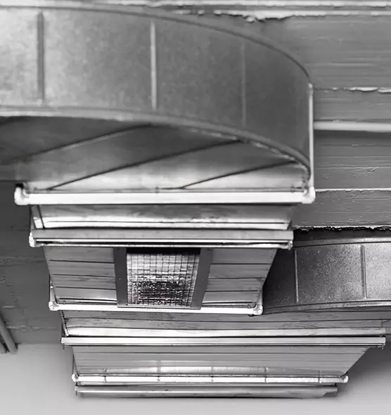 Professional Air Duct Pest Removal in Germantown, WI